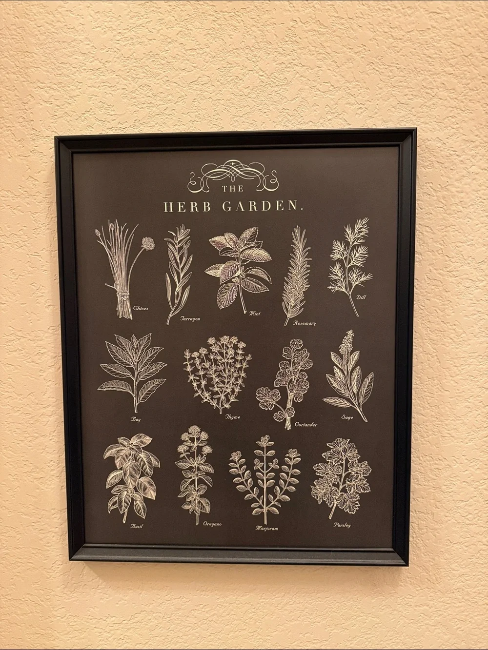Herb and Vegetable Garden Wall Art Print - Black and White Framed Decor
